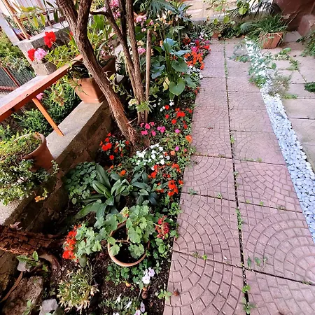 Casa Anselmo Gasthuis