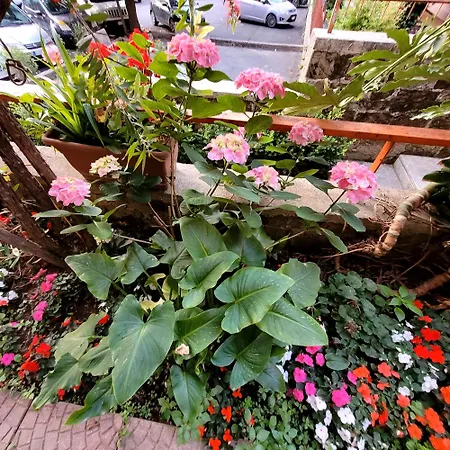 Casa Anselmo 3* Pagani