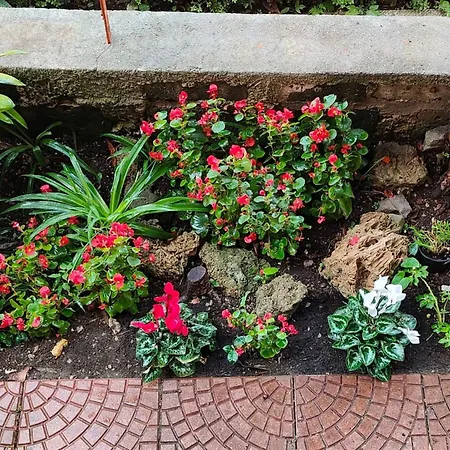 Casa Anselmo Gasthuis 3*