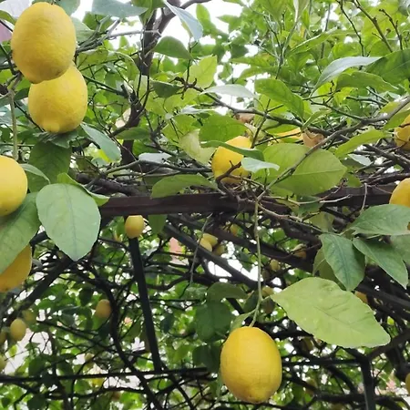 Casa Anselmo Gasthuis Pagani